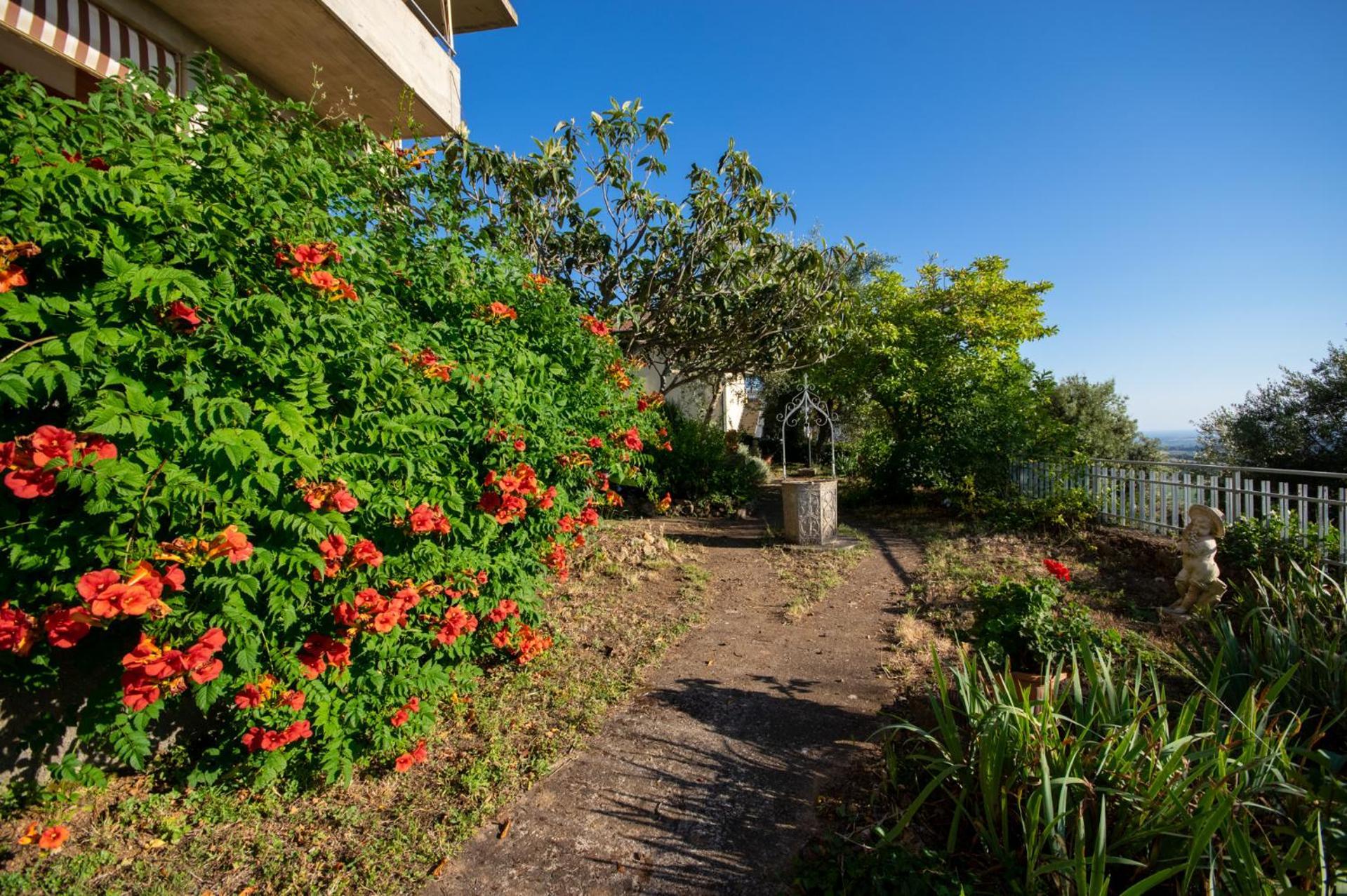Villa Panoramica Garden Bike Маса Маритима Екстериор снимка