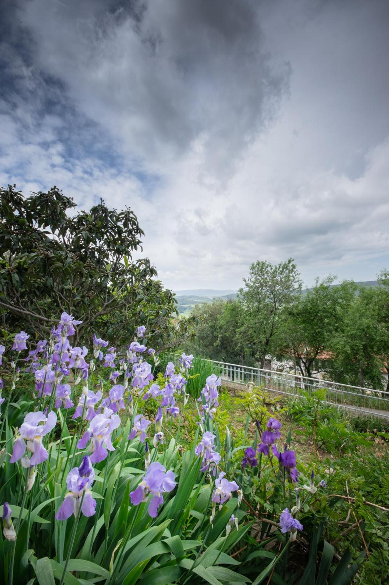 Villa Panoramica Garden Bike Маса Маритима Екстериор снимка